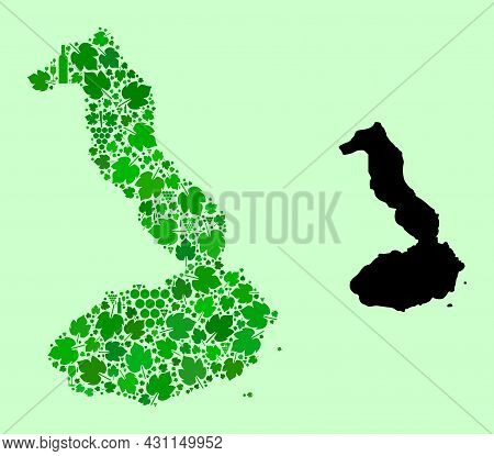 Vector Map Of Galapagos - Isabela Island. Combination Of Green Grapes, Wine Bottles. Map Of Galapago