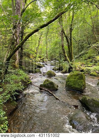 Gorges of the monne river in the green forest, Puy-de-DÃ´me, Auvergne