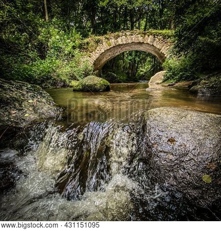Old bridge of the Ribeyrolles in Gorges of the monne river in the green forest, Puy-de-DÃ´me, Auvergne
