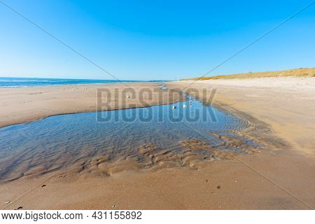 Low Tide Pools, Seagulls And Sand Patterns On Sandy Beach At Papamoa Tauranga New Zealand.