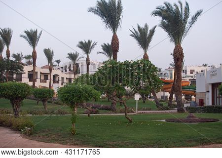 Dawn At A Hotel In Egypt. Sharm El Sheikh.