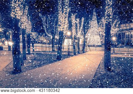Winter Park At Night With Christmas Decorations, Lights, Pavement And Trees.