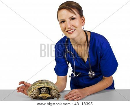 สัตวแพทย์สัตว์เลื้อยคลาน