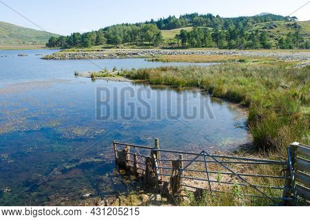 Wales, Snowdonia National Park. Landscape Of Lake Gader By Beddgeltert Forest. Tranquil Summer Scene