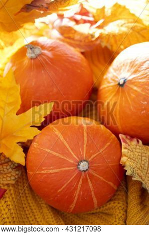 Pumpkins On Yellow Knitted Background. Autumn Cozy Concept, With Three Orange Pumpkins, Leaves