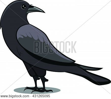 Black Crow With Shadow. Black Bird. Birds From Different Parts Of World. Common Birds. Bird Icon Vec