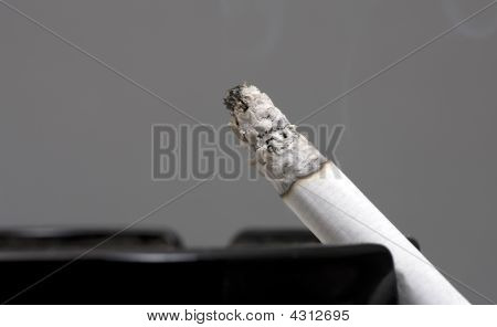 Sigara İçilmeyen portre