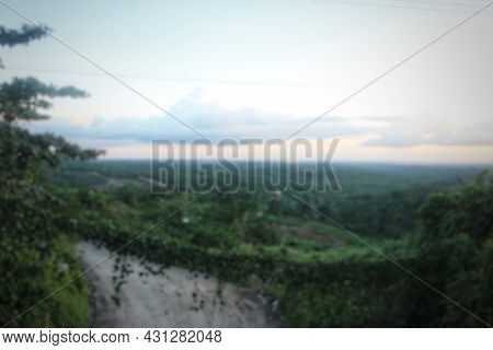 Defocused Nature Abstract Background, Daylight In Nature