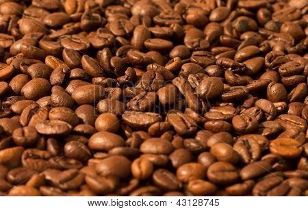 Coffee Beans