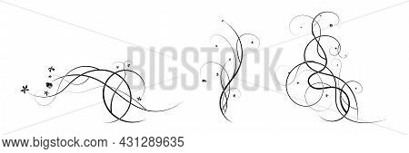 Pattern Ornament Grapes Curls Vector Stock Drawing