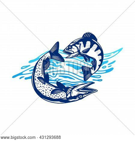 Fish Illustration With Water Splashe