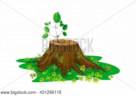 Young Branch On The Stump Isolated On White Background. New Sprout On Tree Trunk. One New Seedling I