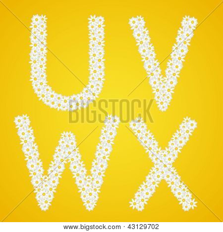 Breve Uvwx sammensat fra Daisy blomster. Komplet alfabet i galleriet.