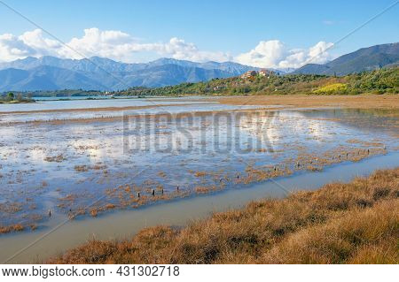 Beautiful Wetland Landscape.  Montenegro, Tivat.  View Of Tivatska Solila - Special Nature Reserve T