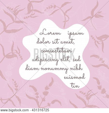 Hand Drawn Spearmint Or Mentha Spicata Isolated. Contour Spearmint Without Color Fill. Ideal For Mag