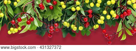 Autumn Oak And Rowan Branches With Red Berries On Crimson Background.
Flat Lay, Top View, Copy Space