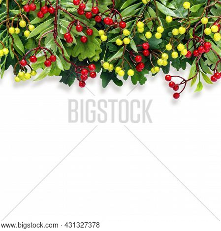 Autumn Oak And Rowan Branches With Red Berries On  White Isolated Background.
Flat Lay, Top View, Co