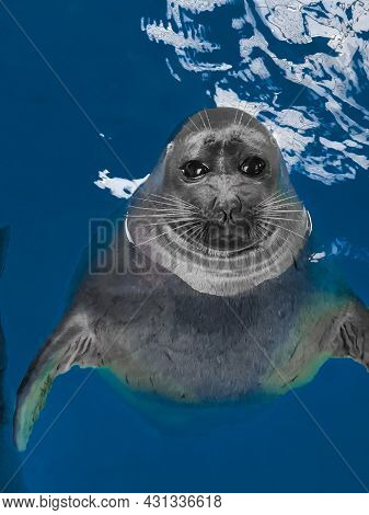 Real Seal Emerged From The Dark Blue Transparent Water. The Baikal Seal Or Pusa Sibirika Looks From 