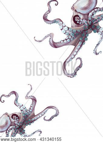 Watercolor Octopus. Sea Pulpa, Devilish With Tentacles Illustration Is Isolated On A White Backgroun