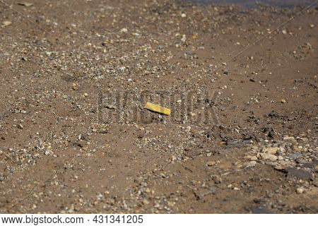 Crushed Yellow Ammunition Shell Embedded In The Mud