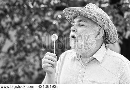Peacefulness. Tranquility And Serenity. Harmony Of Soul. Elderly Man In Straw Summer Hat. Happy And 