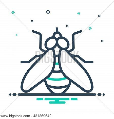 Mix Icon For Fly Housefly Drake Blowfly Muzzle Sight Bug Insecticide Dirty Prejudicial Critter Insec