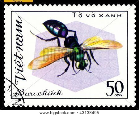 Sztuka znaczka. Owadów Vo Xanh.
