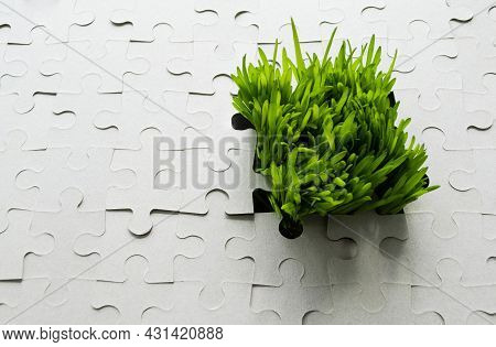 Background Of The Cardboard Puzzle Without Pattern. Bright Green Grass Grows Through The Hole, As If