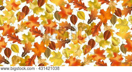Seamless Pattern Bright Colorful Autumn Foliage Isolated On White Background. Graphic Design Autumn 