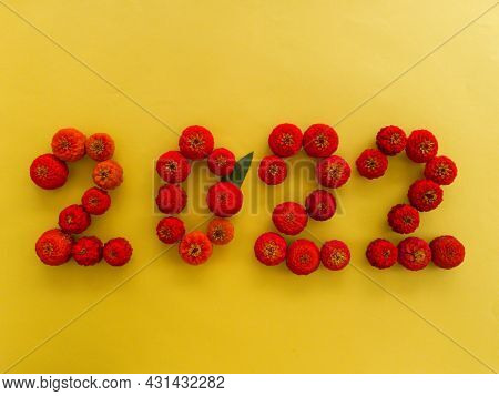 On A Yellow Background Of Red Flowers Of Tsinia, 2022 Is Laid Out