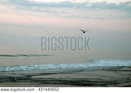 A Lone Seagull Flies Over The Surf In Search Of Foood.