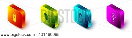 Set Isometric Pregnancy Test, Baby T-shirt, Clothes Pin And Rattle Baby Toy Icon. Vector