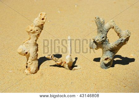 Tre coralli sulla spiaggia