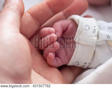 Parent Holding In The Hands Tiny Hand Of Newborn Baby.