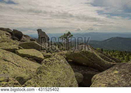 Large Kurum Stones Lie In The Forest In The Mountains, Stones Covered With Moss, Against The Backgro