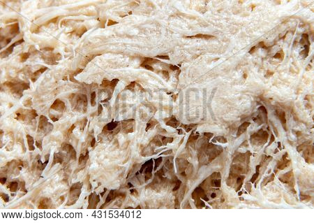Close Up Sweetness Tahini Halva Texture. Macrophotography Macrophotography