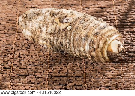 Malanga Edible Tuber - Root Of The Plant Called Colocasia Esculenta