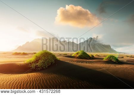 Famous grass hills on black desert near Stokksnes mountains. Vestrahorn cape, Iceland. Landscape photography
