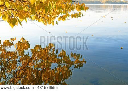 Orange Autumn On River, Autumn Tree Reflcetion On Water, Outdoors