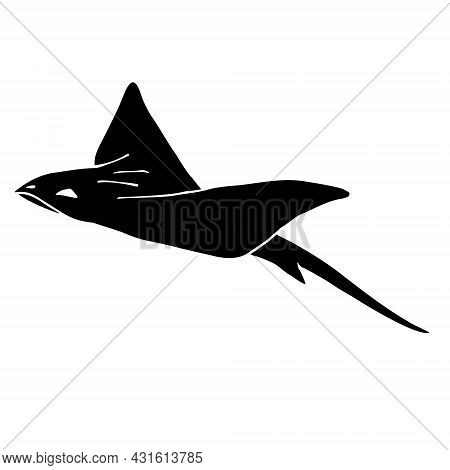 Vector Hand Drawn Doodle Sketch Black Devil Fish Skate Fish Isolated On White Background
