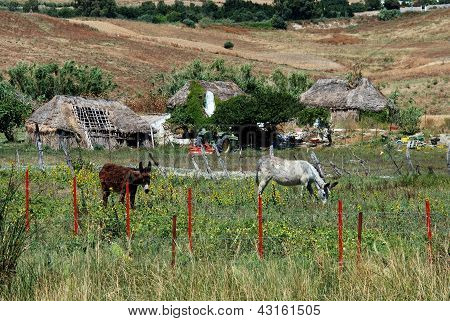 Malá farma, Medina Sidonia, Andalusie, Španělsko.