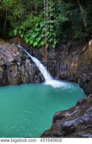 Waterfall In Guadeloupe Caribbean Island. Cascade Le Saut D'acomat In The Jungle.