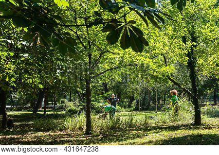 Maintenance Of Public Park And Gardens. Municipal Workers Cleaning Public Park Cismigiu Gardens In B