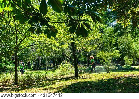 Maintenance Of Public Park And Gardens. Municipal Workers Cleaning Public Park Cismigiu Gardens In B