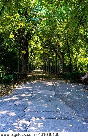 View Of Cismigiu Garden, Public Park With Tree Lined Paths. Cismigiu Park In Bucharest, Romania, 202