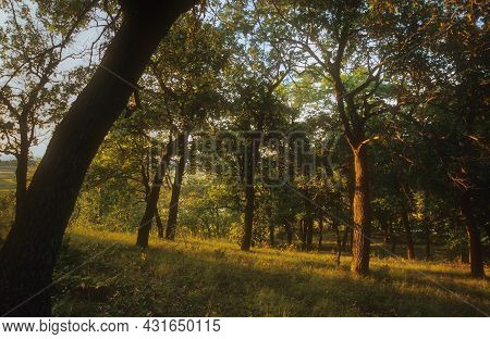 The Sun Starts To Set Over The Mississippi River Valley From The Bluffs At Perrot State Park In Trep