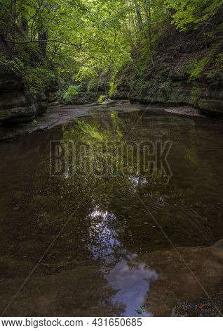 Green Leaves Dominate The Color Palate In A Canyon At Matthiessen State Park In Lasalle County, Illi