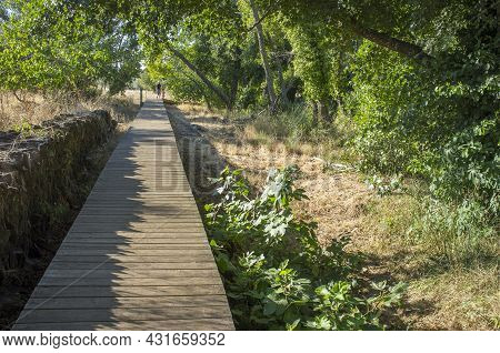 Gevora River, La Codosera, Badajoz, Extremadura, Spain. Senior Man Walking By Footbridge With Grandc