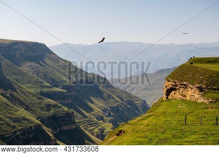 An Atmospheric Landscape With Silhouettes Of Red And Green Mountains. Two Eagles Fly Over A Mountain