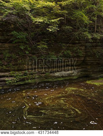 Duckweed Slowly Swirls In A Pool Of Water Called The Giant's Bathtub At Matthiessen State Park, Lasa